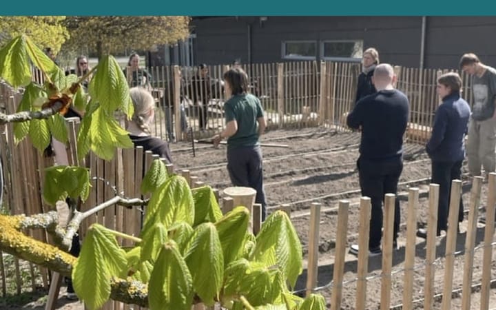 From Lecture Hall to Garden Bed: Leuphana's New CampusAckerdemie